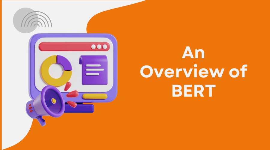 An Overview of BERT