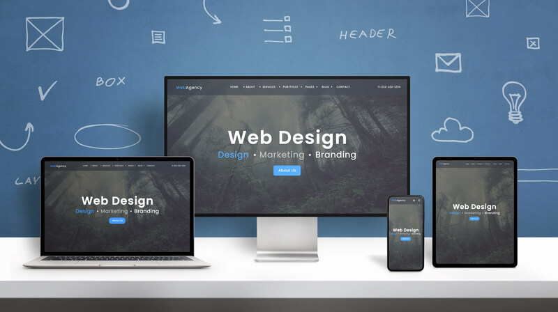 Web and Design Highlights